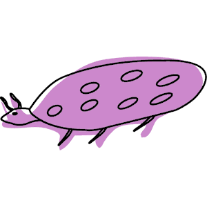 Bug 13
