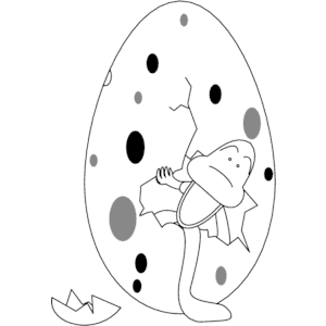 Egg Hatching