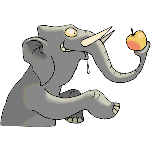  Elephant with Apple