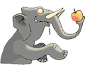  Elephant with Apple
