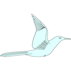 Seagull 03