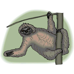 Sloth 4