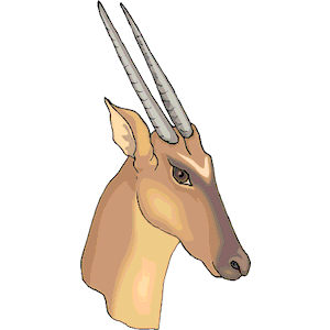Gazelle 6