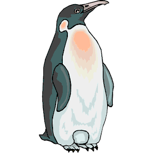 Penguin 19