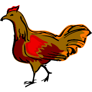 Chicken 09