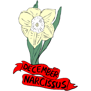 12 December - Narcissus