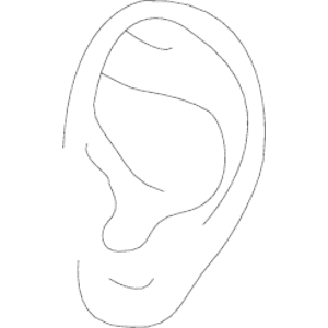 Ear 04