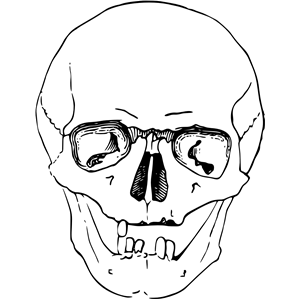 Skull 9