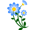 Blue Flower Motif
