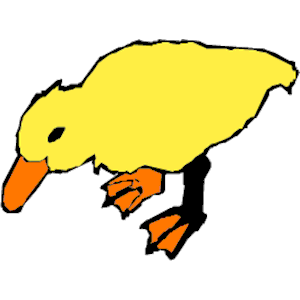 Duck 005