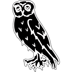 Owl 004