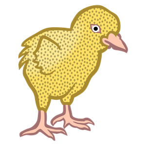 chick1 - coloured