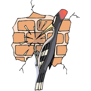 Woodpecker Brick Wall