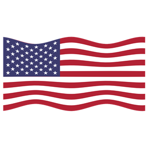 America USA Flag Wavy 2
