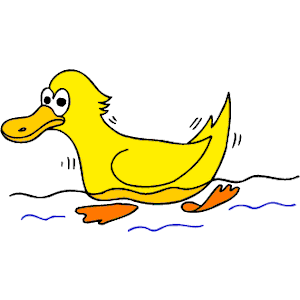 Duck 015