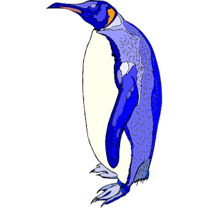 Penguin 22