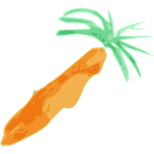 carrot 01