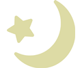 Pale Moon And Star icon