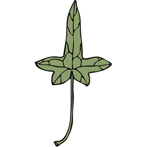 ivy leaf 9