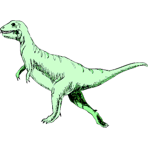 Dinornis 34
