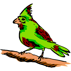 Bird Perched 5