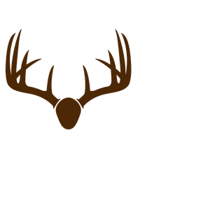 Brown Deer Skull Mount
