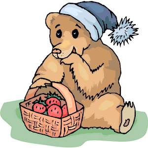 Bear Eating Strawberries