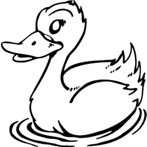 Duck 020