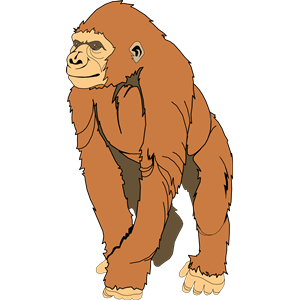 Ape 2