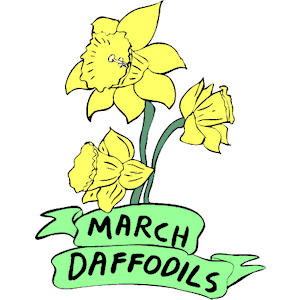 03 March - Daffodils