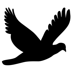 Flying Dove Silhouette