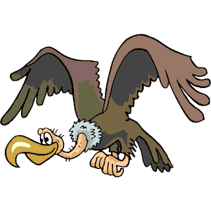 Vulture Flying 2
