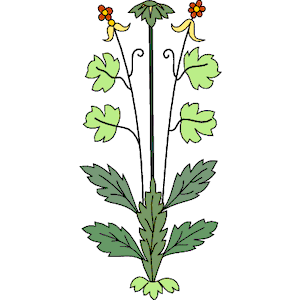 Design Flower Leaf