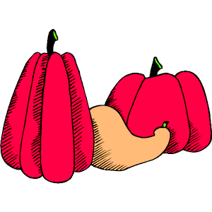 Pumpkins Gourd