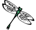 Dragonfly 001
