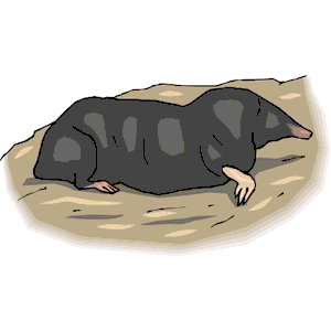 Mole 4