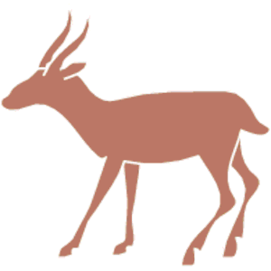 Gazelle01