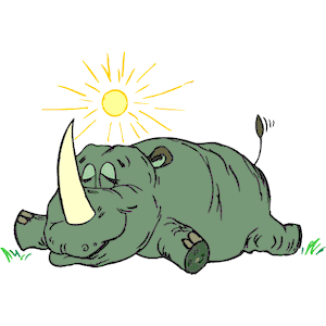 Rhino Sunbathing