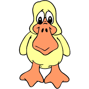Duck 025