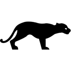 Panther 1