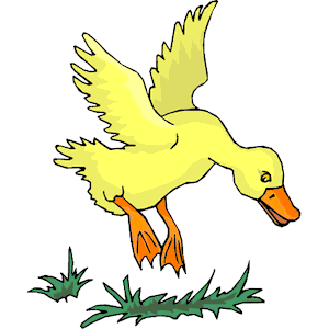 Duck Landing