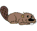 Beaver 5