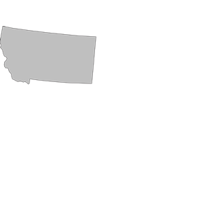 Grey Montana State