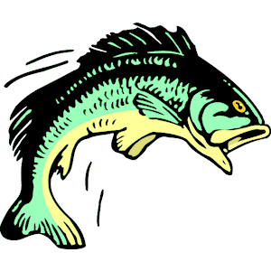 Fish 002