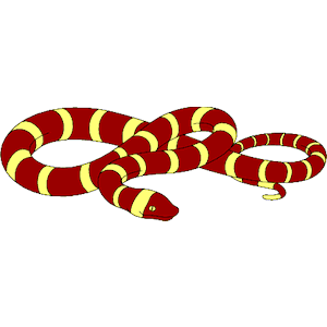 Snake 04