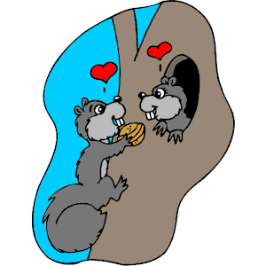 Squirrels in Love