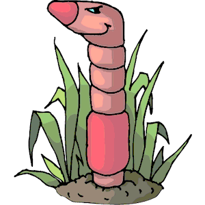 Worm Sly
