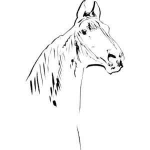 Horse 008