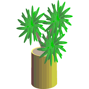 Plant in Pot 3