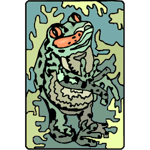 Frog 028